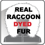 REAL RACCON DYDE FUR